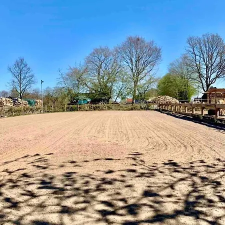 Stilvolle 3 Zimmer-wohnung Auf Saniertem Resthof * Reher