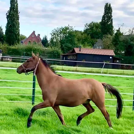 Stilvolle 3 Zimmer-wohnung Auf Saniertem Resthof * Reher